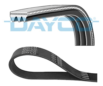 3PK538   DAYCO - Ремінь (поліклиновий)