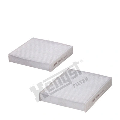 HENGST FILTER E2967LI2
