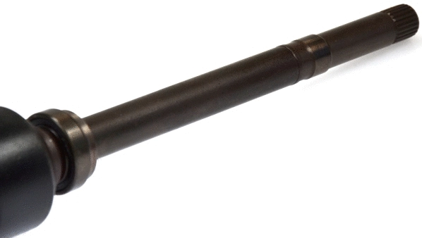 21956 SPIDAN Піввісь