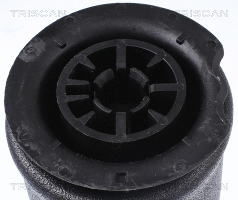 872011202 TRISCAN Пневмоподушка