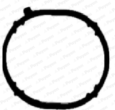 JD6031 PAYEN Прокладка впускного коллектора