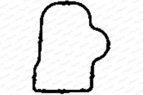 JD5904 PAYEN Прокладка впускного коллектора