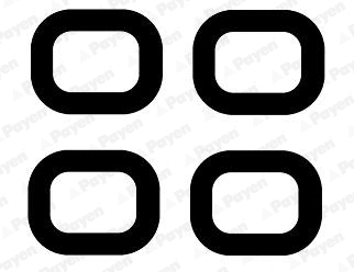 JD6151 PAYEN Прокладка впускного коллектора