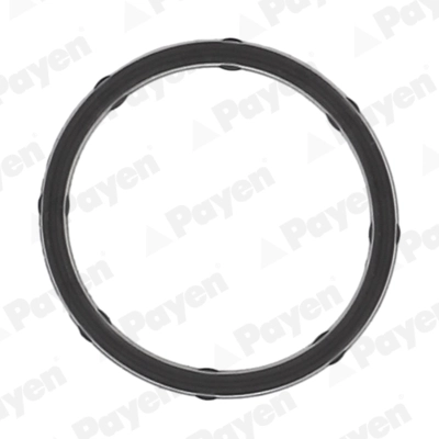 JD6172 PAYEN Прокладка впускного коллектора