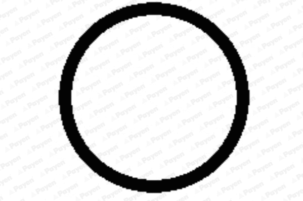 HA5032 PAYEN Прокладка впускного коллектора