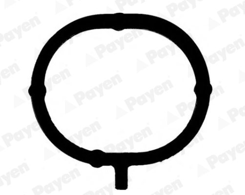 JD6191 PAYEN Прокладка впускного коллектора