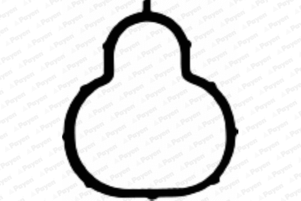 JD5311 PAYEN Прокладка впускного коллектора