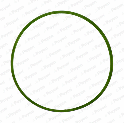 JD5982 PAYEN Прокладка впускного коллектора