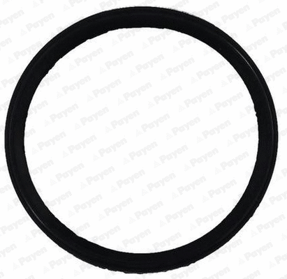 JD6150 PAYEN Прокладка впускного коллектора