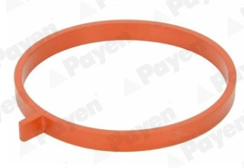 JD6186 PAYEN Прокладка впускного коллектора