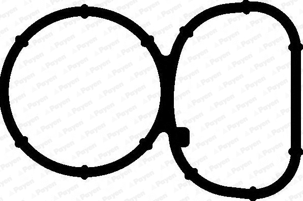 JD5991 PAYEN Прокладка впускного коллектора