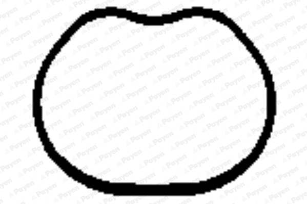 JD5866 PAYEN Прокладка впускного коллектора