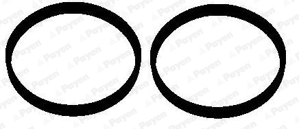 HA5072 PAYEN Прокладка впускного коллектора