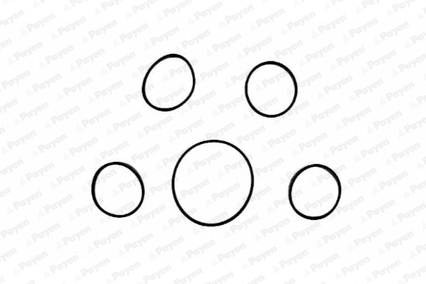 HA5005 PAYEN Прокладка впускного коллектора