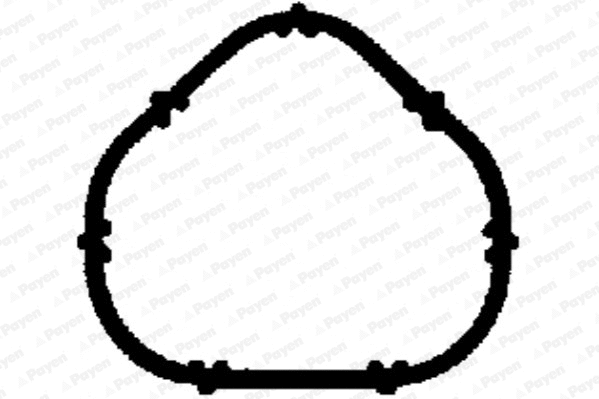 JD5885 PAYEN Прокладка впускного коллектора