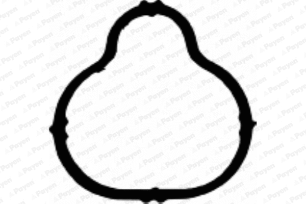 JD5117 PAYEN Прокладка впускного коллектора