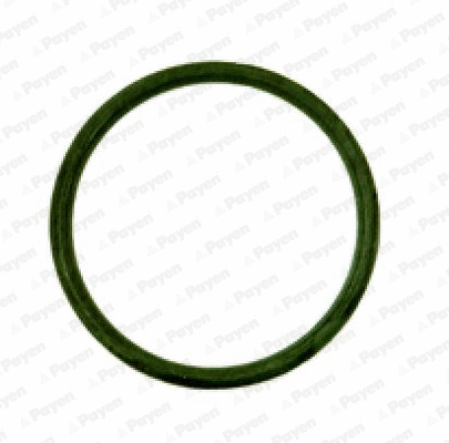 JD538 PAYEN Прокладка впускного коллектора