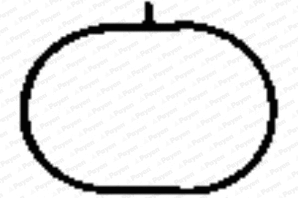 JD5835 PAYEN Прокладка впускного коллектора