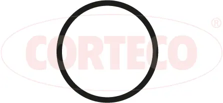 450205P CORTECO Прокладка впускного коллектора