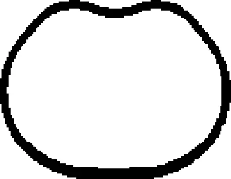 450136H CORTECO Прокладка впускного коллектора