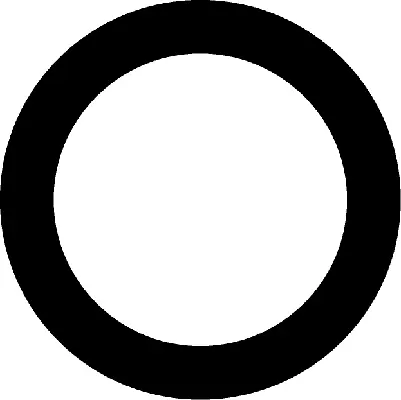 023191H CORTECO Прокладка впускного коллектора