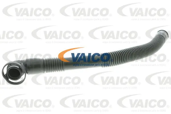 V103734 VAICO Шланг інтеркулера VW GOLF V, PASSAT ALLTRACK B7, PASSAT B7 1.6D-2.0D 10.03-12.15