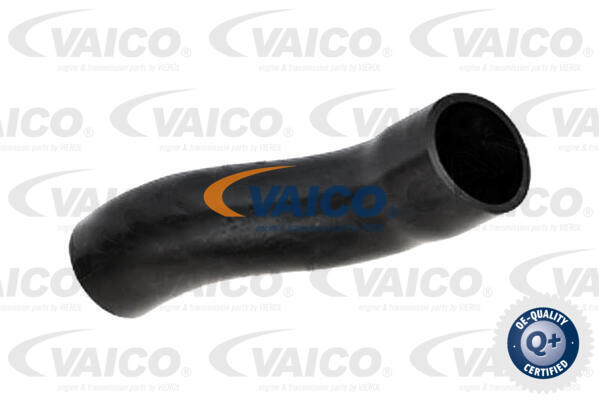 V252286 VAICO Паливний шланг Q+, original equipment manufacturer quality