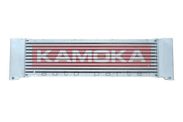 7750098 KAMOKA Интеркулер