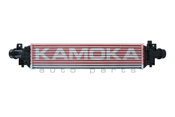 7750017 KAMOKA Интеркулер