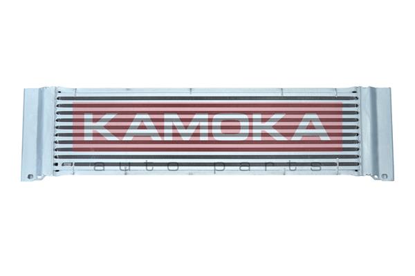 7750040 KAMOKA Интеркулер