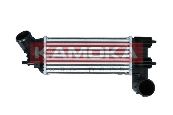 7750104 KAMOKA Интеркулер