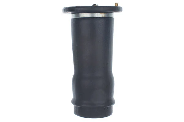 DSA122G DENCKERMANN Пневмоподушка