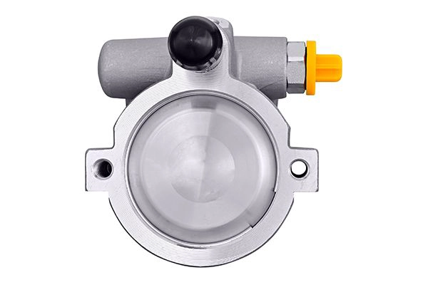 8TL359003251 HELLA HELLA RENAULT Гідравлічний насос (без шківа ременя) LOGAN, SANDERO, RENAULT KANGOO