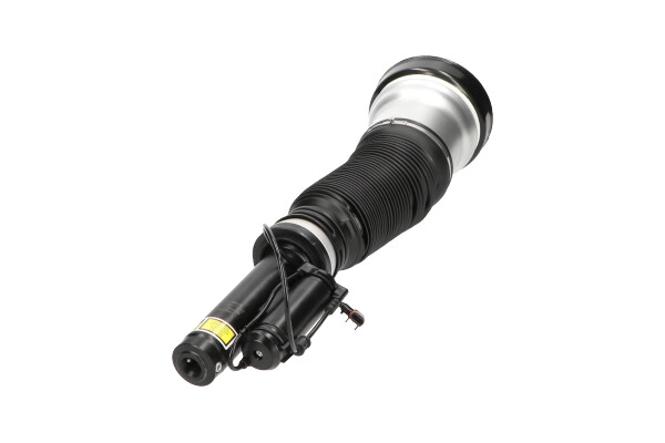 SAS10013 KAVO PARTS Пневмоподушка