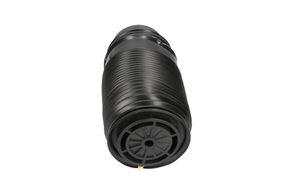 SAS10014 KAVO PARTS Пневмоподушка