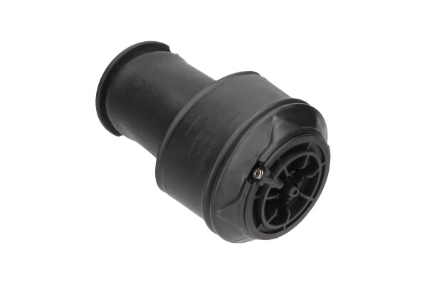 SAS10008 KAVO PARTS Пневмоподушка