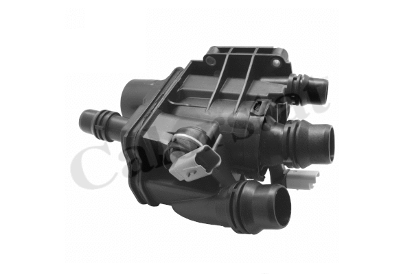 TE211397J CALORSTAT by Vernet Термостат