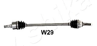 620WW29 ASHIKA POLOS