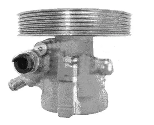 PI1145 GENERAL RICAMBI Пома гідропідсилювача (Ціна за цей товар формується з двох складових: Ціна на сайті + додатковий платіж. Остаточну ціну дізнавайтесь у менеджера.)