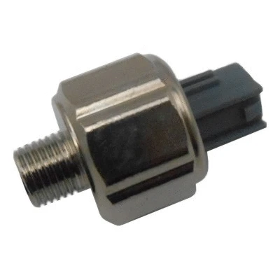 75175013 HOFFER Датчик детонації