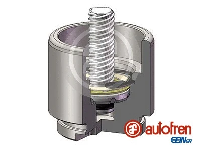 D025641RK AUTOFREN SEINSA Поршень гальмівного супорта задн (48мм  52мм) MAN TGE  FORD TOURNEO CUSTOM V362, TRANSIT, TRANSIT CUSTOM V362, TRANSIT TOURNEO, TRANSIT V363  VW AMAROK, CRAFTER 1.0H-Electric 04.06-