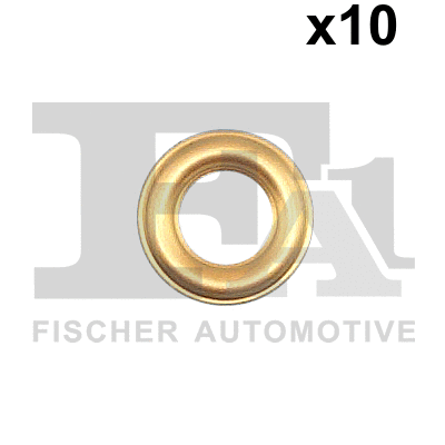 576370010 FA1 Шайба інжектора