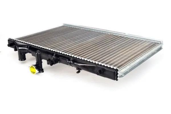 D73008TT THERMOTEC Радиатор двигателя