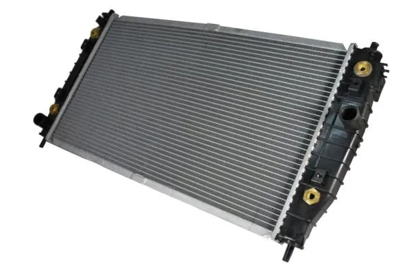 D7Y001TT THERMOTEC Радиатор двигателя