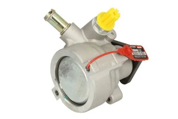 550094 LAUBER Помпа гiдропiдсилювача -Ціна за цей товар формується з двох складових: Ціна на сайті + додатковий платіж. Остаточну ціну дізнавайтесь у менеджера