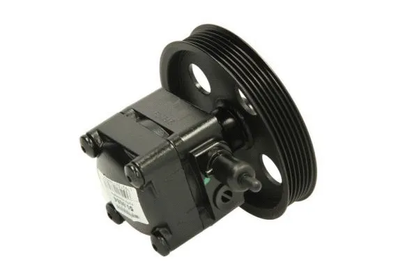 559684 LAUBER Помпа гiдропiдсилювача -Ціна за цей товар формується з двох складових: Ціна на сайті + додатковий платіж. Остаточну ціну дізнавайтесь у менеджера