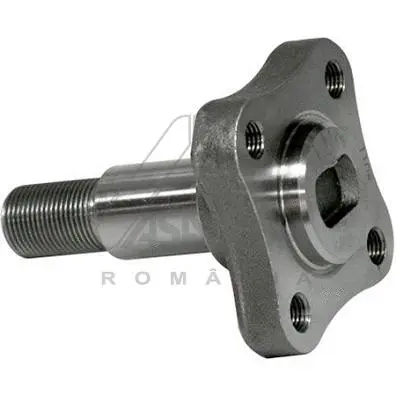 30247 ASAM Поворотний кулак