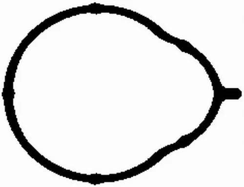 MG2581 BGA Прокладка впускного коллектора