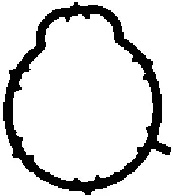 MG8541 BGA Прокладка впускного коллектора