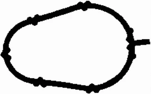 MG0507 BGA Прокладка впускного коллектора